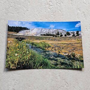 Beautiful River & Mountain in Yellowstone National Park Magnet 4"x6"